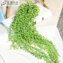 新品挂藤豆叶颗粒情人泪仿真叶挂件植物墙配材壁挂装饰豆叶批发