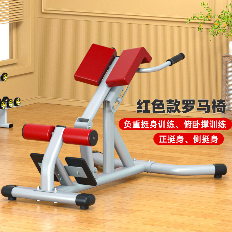 室内健身器材商用罗马椅山羊挺身器健腰器健身凳健身椅背肌训练器|undefined