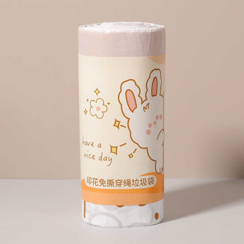 60 rabbit models