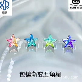 唇饰;其他穿刺饰品;耳钉