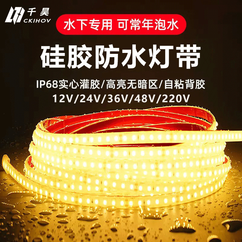 Light with led strip silicone 24V low voltage outdoor waterproof super bright atmosphere swimming pool bubble fish tank landscape lighting