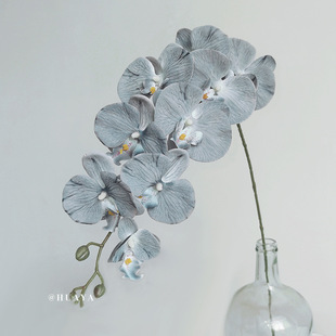 9�^�����m���滨�\��ɫ��ˇ����С�����ɺ�ins���컨���uͨ���Q