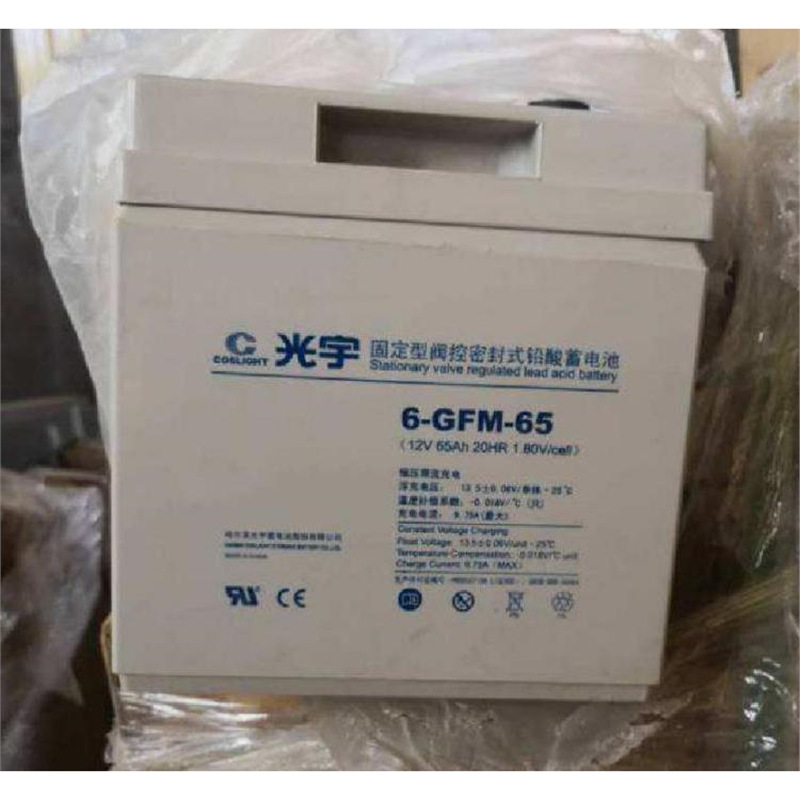 6-GFM-100C光宇高性能专用蓄电池12V100AH无须补充电解