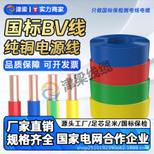 全球热销BV家装线4/6/10平方电线国标铜芯户外电机开关插座电源线