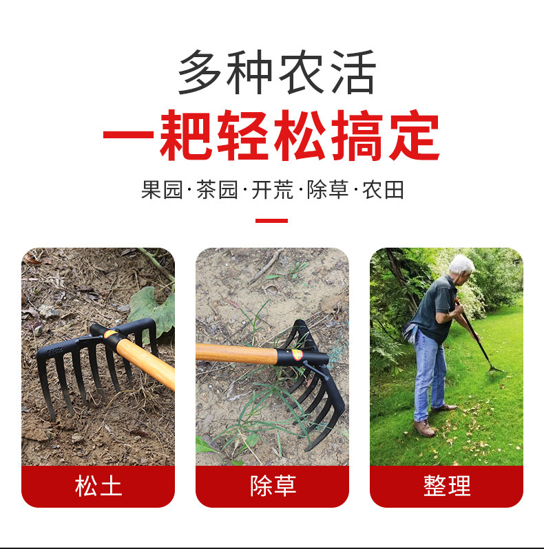 详情_02.jpg
