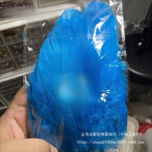 ���c����ϸ��д��h�ZëȾɫ�c���̥��ë�{Ƭ�b�������o