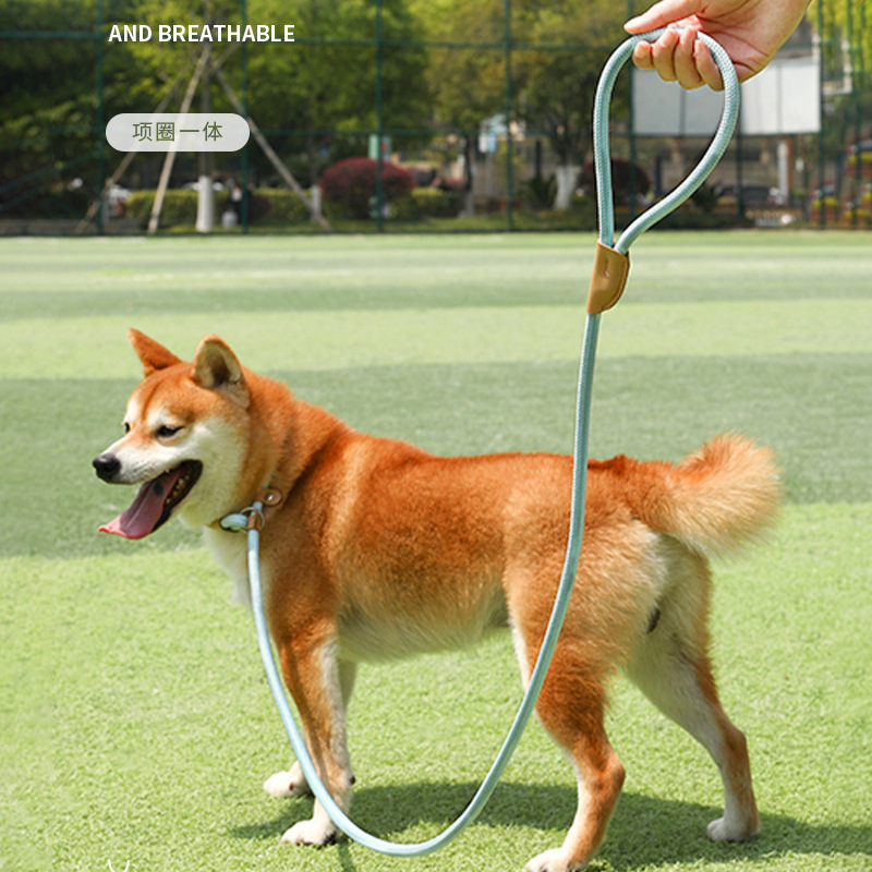 Cuerda de perro entrenamiento P cadena a prueba de explosiones cuerda de perro Cadena de cuerda de perro mediana P cuerda perros grandes, medianos y pequeños perro caminando perro cuerda de tracción