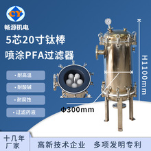 不锈钢5芯20寸四氟过滤器 PFA/PTFE喷涂过滤 化学药液过滤设备