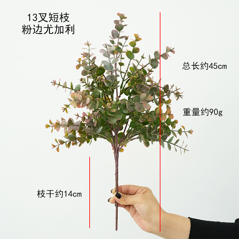 분홍색 가장자리의 짧은 가지 유칼립투스 포크 13개