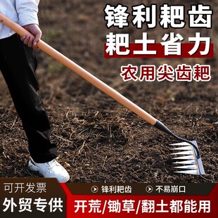 �z�^���ݰ����r���z���z�����������������Xᔰ�䓰��r�ù��ߴ�ȫ