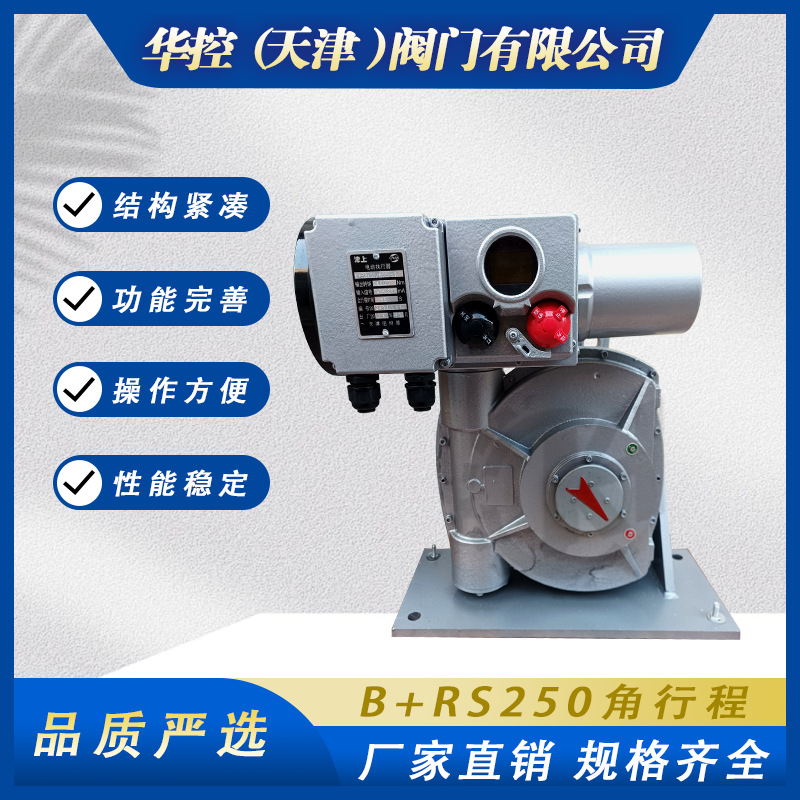 4-20mA总线型电动装置伯纳德B+RS250K40H B+RS250F40Z角行程