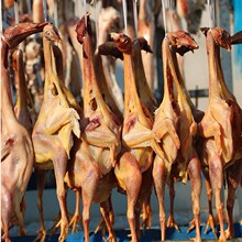 安徽黄山风干鸡咸鸡腊鸡农家手工腌制腊味特产风干土老鸡整只