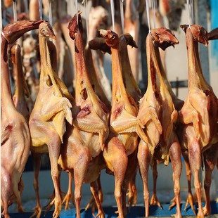 �����Sɽ�L���u���u�D�u�r���ֹ������Dζ�خa�L�������u��ֻ