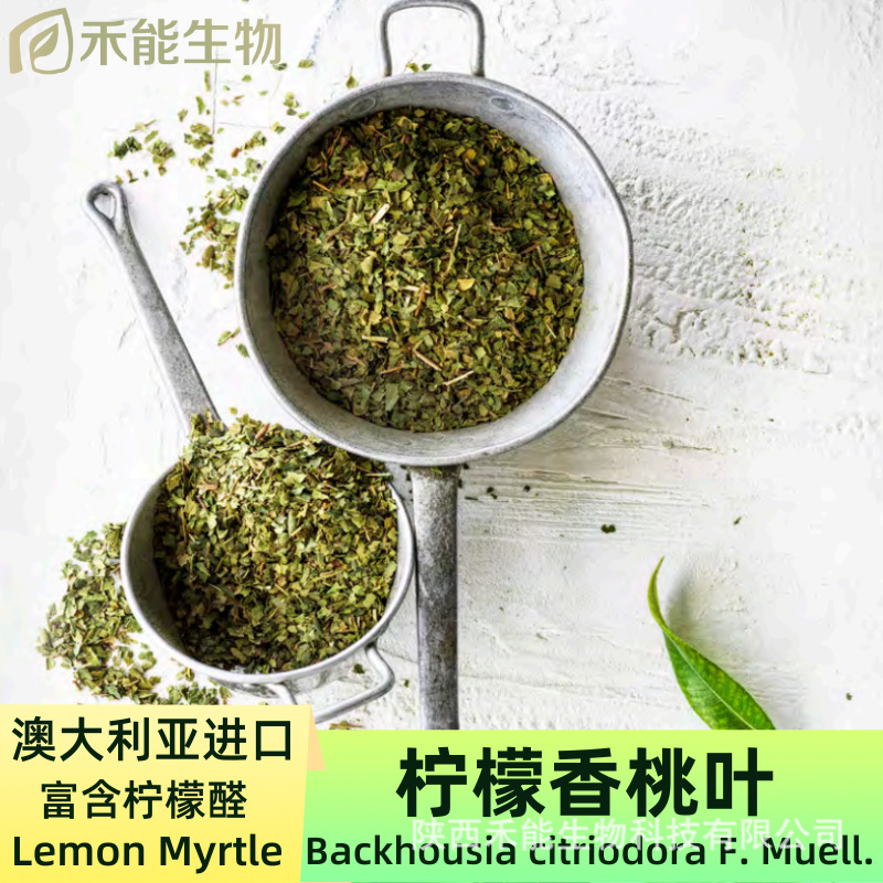 柠檬香桃叶Lemon Myrtle澳大利亚获批的新资源食品原料香料