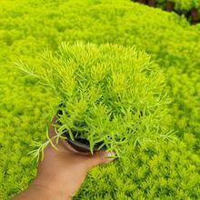 ��ײ��ļ�������픾G��ͥԺ��ƺ�ͺ��᳣͟�G���~���A�����ײ�