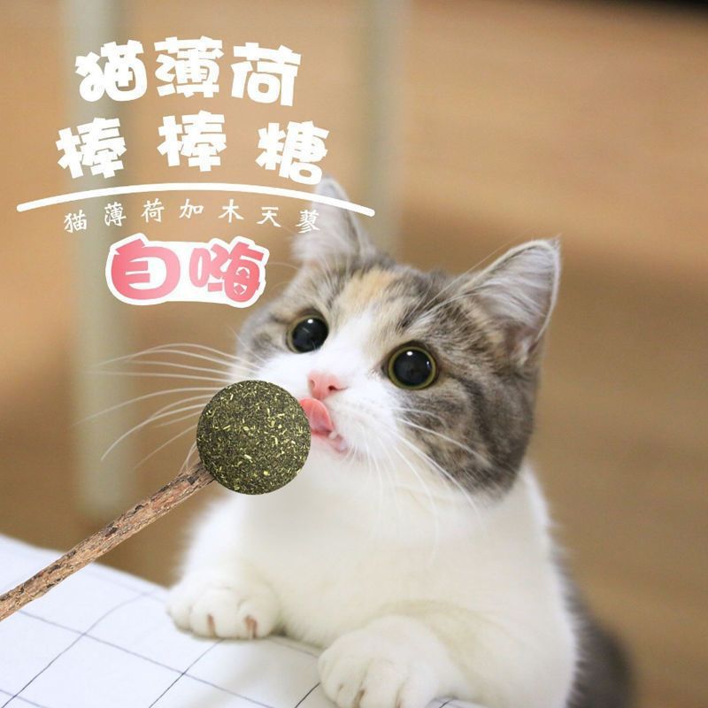猫薄荷棒棒糖猫玩具去毛球零食薄荷球逗猫棒宠物磨牙洁齿木天蓼|undefined