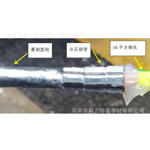 �䉺��Ȼ�ӵ��w ��Ȼ�ӵ،��w�A����� �~�܈A��y�~�T���A�����