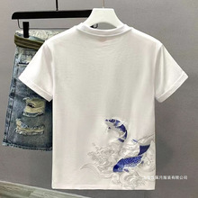�ļ��̽��~�Ї��L2025�������г������b�������e���ɕr�а�ɫ
