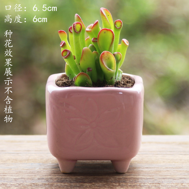 植木鉢の小さい新商品の缶のアイデアの磁器の缶の多い陶磁器の肉のミニ陶のレトロな家庭の陶磁器のたらいの園芸の太い新しいです。|undefined