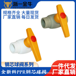 ��48С�r�Ȱl؛��PPR��Ʒ�о���y���۳нӃȏ�����ppr���y4���_