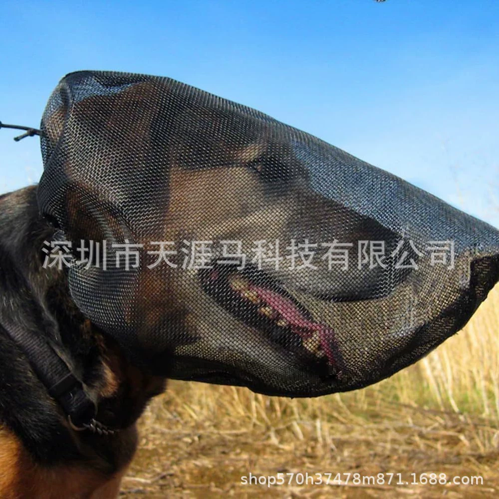 Amazon новый продукт для домашних животных против комаров