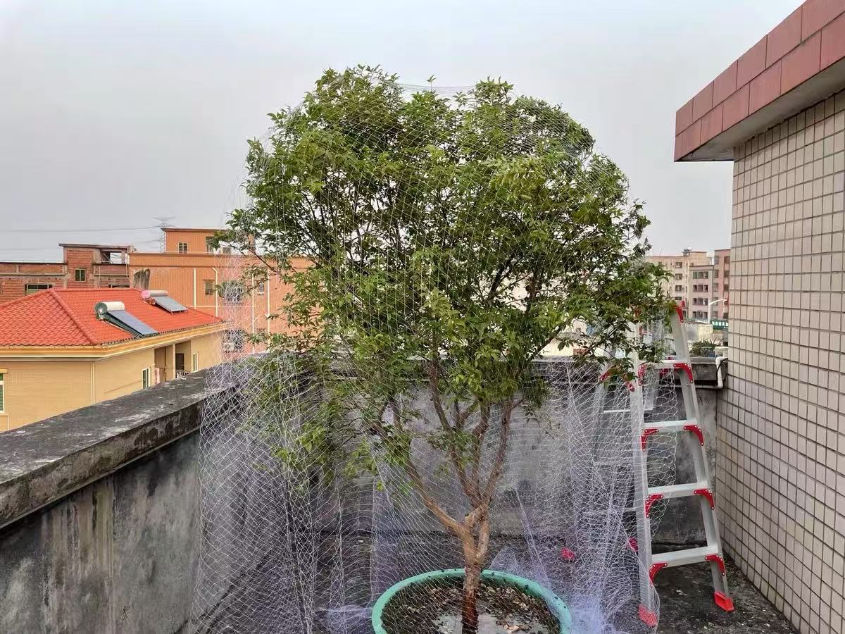 微信图片_20250410142846