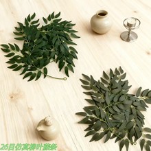 ���R�d���N�������~�ٗl��c�����p�@����ɳ���~ɭϵ��Y�bGֲ