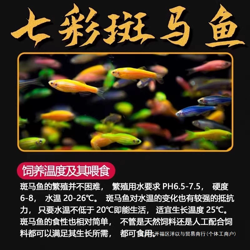 Малкий рыба tropical fish viewing fish butterfly wings long tail zebra fish, fish red green light, fish live fish fresh water is good for freshwater
