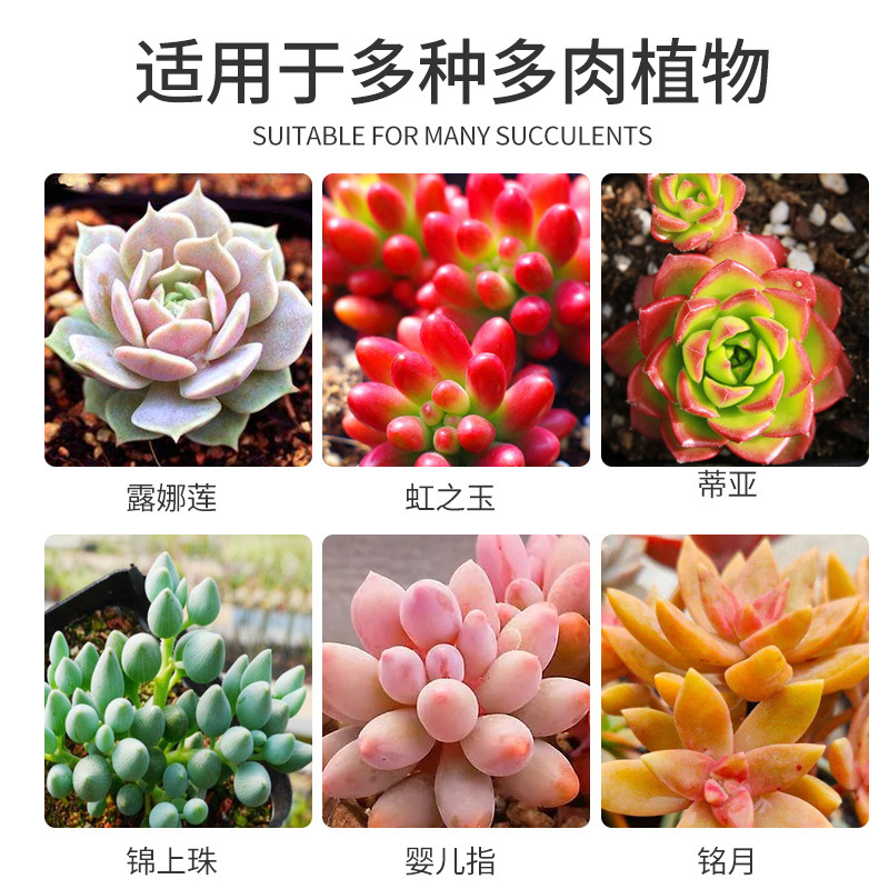Eugerin, a general sprouting hormone for succulent plants that promotes budding, bursts buds, increases color and fattening plants, is produced directly by the manufacturer
