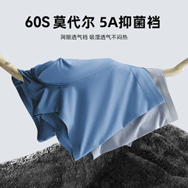 女士三角裤;塑身裤;女士安全裤