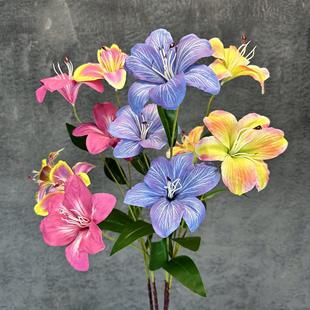 ����3�^��ݰٺ�3D��ӡ�ٺϻ���Y�Ҿ��b��ÿ羳�ٻ��[�����l