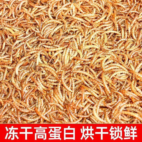 Bread Insect Dried Yellow Mealworm Dried Hamster Food Turtle Food Fish Food Magpie Bird Food Rutin Chicken Feed Pet Snacks Factory