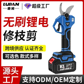 电链锯;割草机;洗车水枪