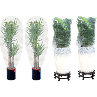 ���R�d�羳ֲ�����ڳ��K���ڷ��x�W�� 60Ŀ����x�W�������x�W��