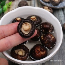 �|��С�㹽��؛�L��ɽ�خa���ľ���û���Ģ���I�B����ɢ�b��Ұ��