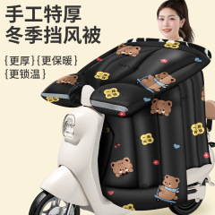 【手工特厚护肩护脖】电动车挡风被冬季加绒加厚保暖电车小型