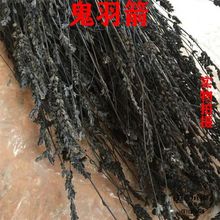 ��؛Ұ������� ��ș�� �ڲ� ����� �ڹǲ� �˲� ���R�� ���]