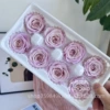 4-5cm shallow dream purple box