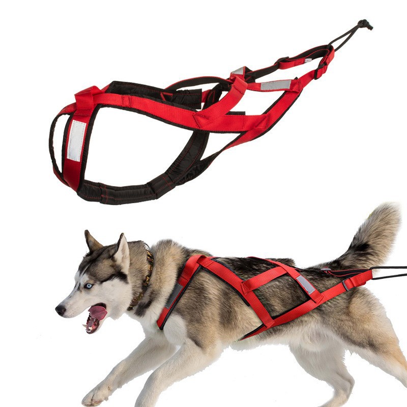 Harnais de traîneau d'extérieur pour chien d'entraînement de poids, Husky, Samoyède, laisse de transport pour snowboard_voghion.com