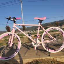 死飞双碟刹自行车女活飞单车24/26寸学生公路赛车手刹彩色垒德株