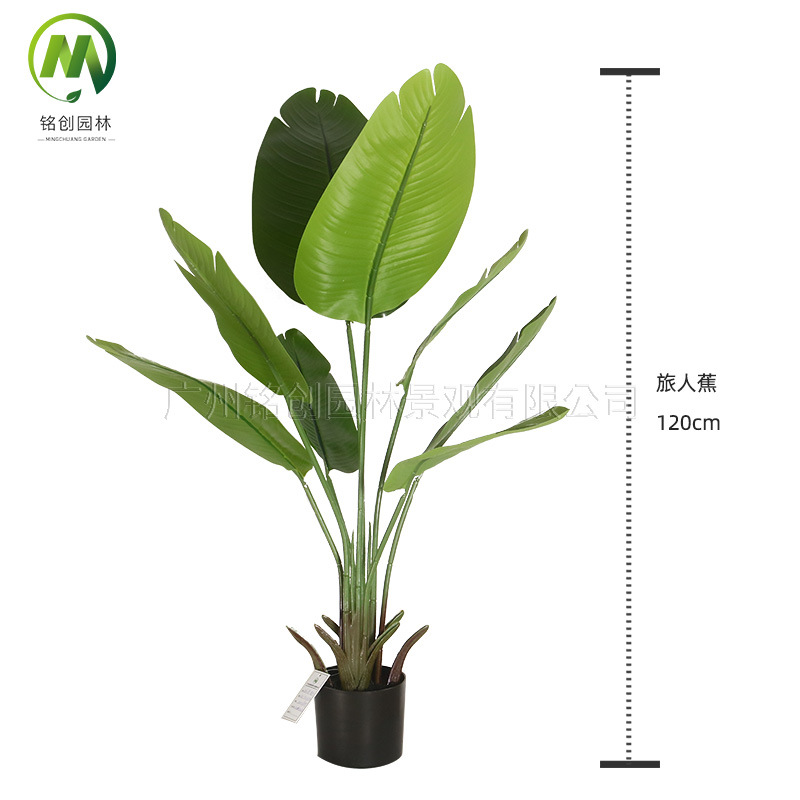 Simulación transfronteriza de hojas grandes, plantas verdes, plantas en macetas, bonsái de plátano para viajeros, sala de estar de alta gama, gran simulación, bonsái de pájaro del paraíso