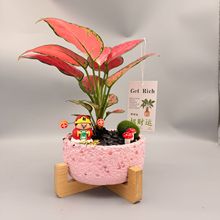 �lؔ�����Ի��ܾGֲ������B�辰��լ�¼�ֲ��Y���ͶY�b���