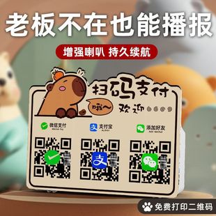 Payment Collection Audio Voice Broadcast Qr Code Card Payment Collection Sounder Alipay Bluetooth Speaker Payment Collection and Payment Others