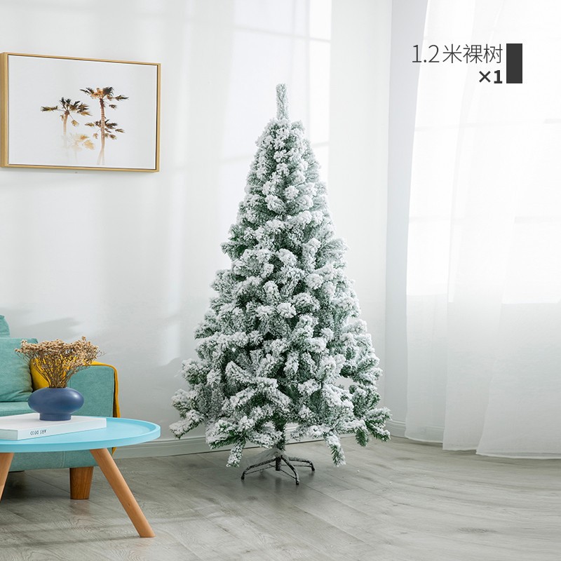 1.2m 벌거벗은 나무