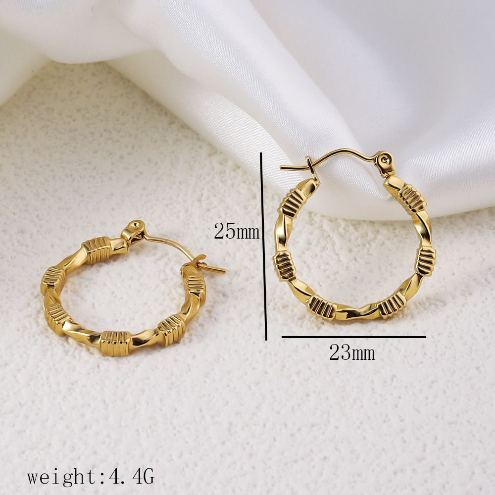 1 Pair Simple Style Commute Geometric Heart Shape Plating Titanium Steel Drop Earrings Earrings Ear Studs display picture 8