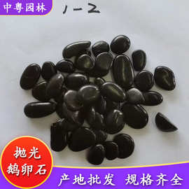 黑色鹅卵石黑色雨花石天然黑石园林铺地石园林景观造景黑色鹅卵石