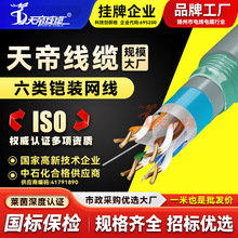 天帝六类屏蔽网线螺纹钢带铠装抗干扰无氧铜芯双绞线网络信号传输