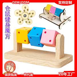 仓鼠健身魔方转轮运动飞盘宠物解压防忧郁玩具金丝熊龙猫笼子支架