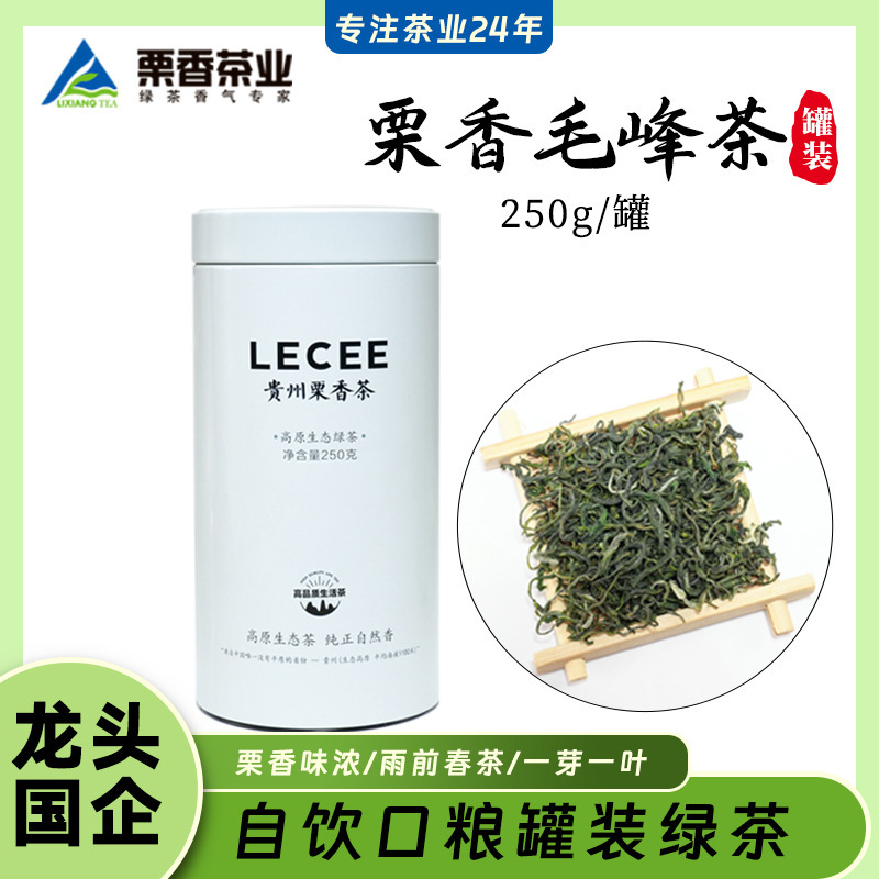 Lixiang Maofeng 250g Canned Guizhou Curly Green Tea, First-Grade Green Tea Leaves, Pre-Rain Spring Tea, One Bud One Leaf, Fragrant
