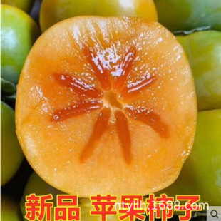 ��Ʒ�N�޽����Ә����ش��O�����Ә�������箔��Y�������Nֲ����
